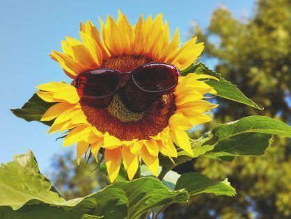Todo lo que debes saber sobre protección solar